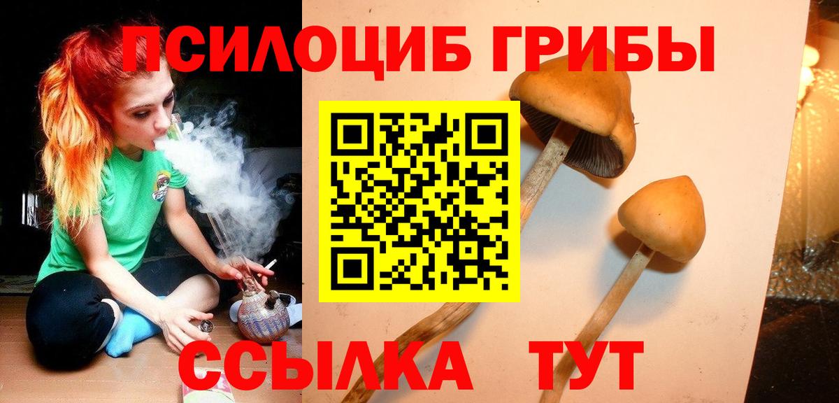 Галлюциногенные грибы Magic Shrooms Кулебаки