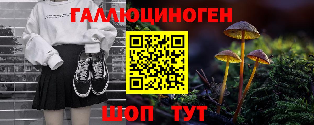 Галлюциногенные грибы Psilocybine cubensis  Вход с VPN  Кулебаки 